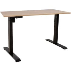Home4you Ergo 160x80cm electric table