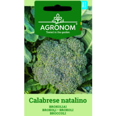 Calabrese Natalino broccoli seed