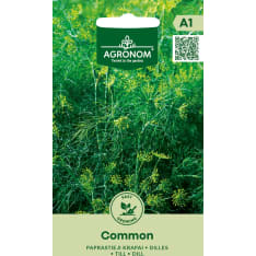 Tilli Common seed
