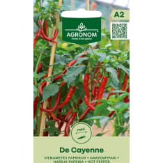 Paprika De Cayenne seeds