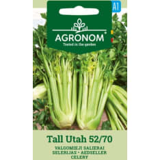 Celery long Utah 52/70 seed
