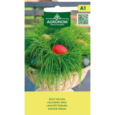 Rairuoho seed