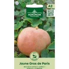 Big Pumpkin Jaune Gros De Paris seed