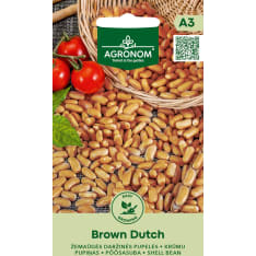Dwarf beans Brown Dutch seed