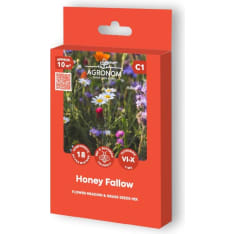 Honey fallow flower seed