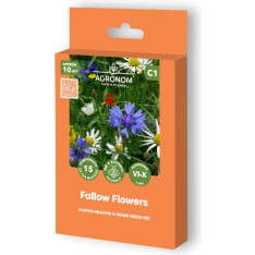Fallow flowers flowering plant seed