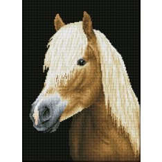 Diamond Dotz Chester 34,00 x 47,00 cm timanttityö