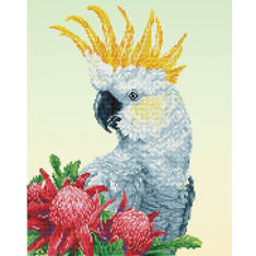 Diamond Dotz White Cockatoo & Warathas 40,5x50,5cm timanttityö
