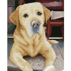 Diamond Dotz KING 40x50cm diamond work