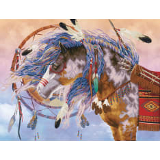 Diamond Dotz Dream Weaver 57x75cm diamond work