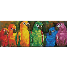 Diamond Dotz Rainbow Parrots 30x77cm diamond work