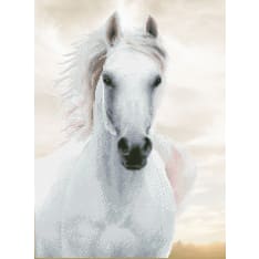 Diamond Dotz Imperial Stallion 65x48cm diamond work
