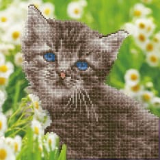 Diamond Dotz Kitten diamond craft
