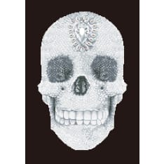 Diamond Dotz Crystal Skull 60x42cm diamond work
