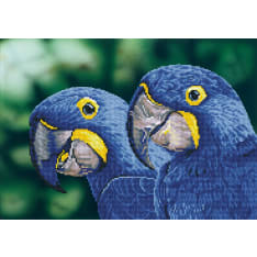 Diamond Dotz Blue Hyacinth Macaws 37x52cm diamond work