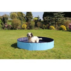 Rosewood dog pool