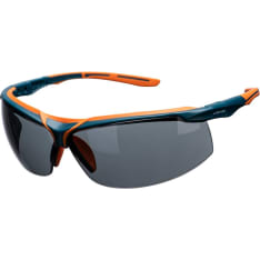 Portwest PS13 Mega KN goggles