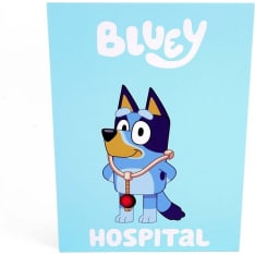 Bluey Rolebook Hospital roolileikkitarvikesetti