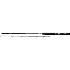 Daiwa Sea Hunt z 8' 6 2os downrig merivapa