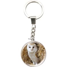 Deluxebase Magnidome Owl avaimenperä