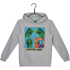 Minecraft hoodie