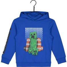 Minecraft hoodie