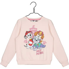 Paw Patrol sweatshirt