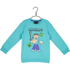 Minecraft collegepusero