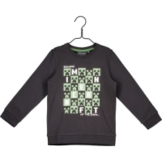 Minecraft collegepusero
