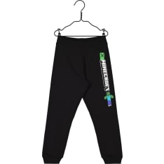 Minecraft sweat pants
