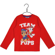 Paw Patrol ls shirt