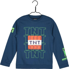 Minecraft Kids' Sweatshirt