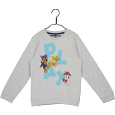 Paw Patrol sweatshirt