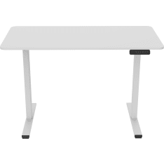 Flexispot 120 x 60 electric standing desk white