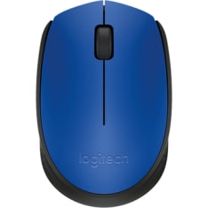 Logitech M171 wireless mouse