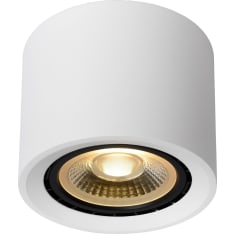 Lucide Fedler Ø12 spottivalaisin