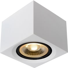 Lucide Fedler 12x12 spottivalaisin