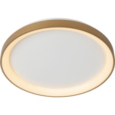 Lucide Vidal Ø48cm plafondi