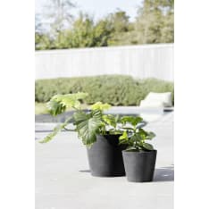 Ecopots Amsterdam ruukku
