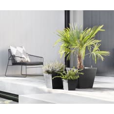 Ecopots Rotterdam ruukku