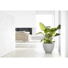 Ecopots Antwerp ruukku