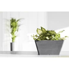 Ecopots Berliini ruukku