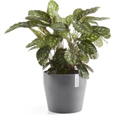 Ecopots Sankara pot