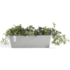 Ecopots Bruge ruukku