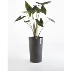 Ecopots Amsterdam keskikorkea ruukku