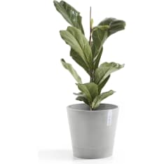 Ecopots Venice pot
