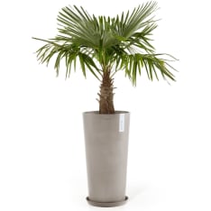 Ecopots Amsterdam korkea ruukku