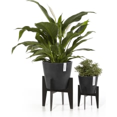 Ecopots jalusta ruukuille