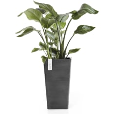 Ecopots Rotterdam keskikorkea ruukku