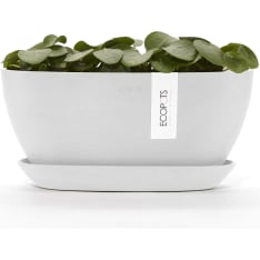 Ecopots Sofia ruukku + aluslautanen
